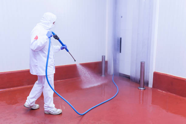 Best Winterizing Services  in Batesville, AR